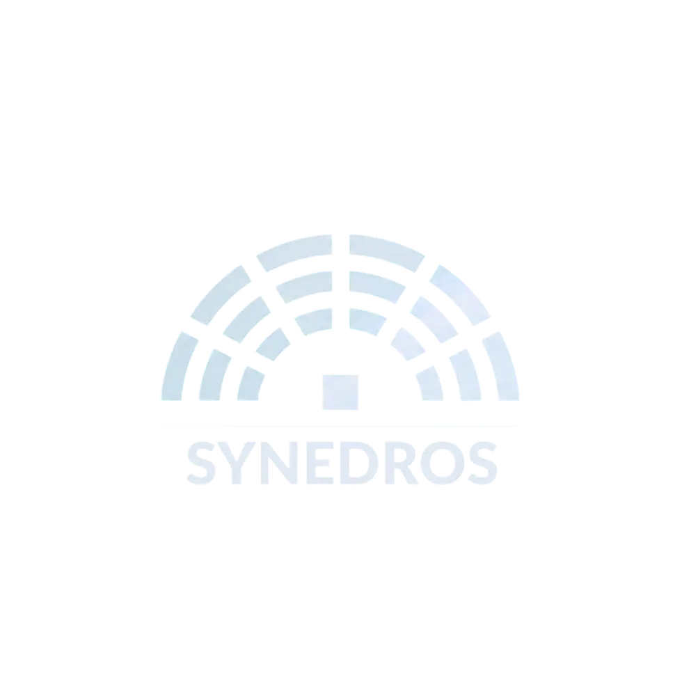 Synedros logo for fully managed website solutions
