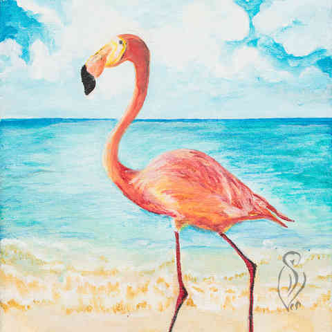 Inagua Bahamas.jpg