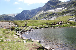 Les 7 lacs de Rila - Le Rein