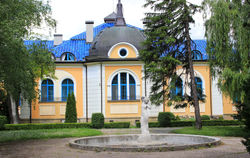 Vidin