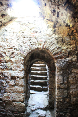 Vidin
