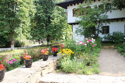 Etara