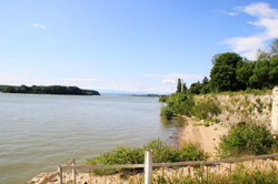 Vidin