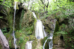 Bachkovo