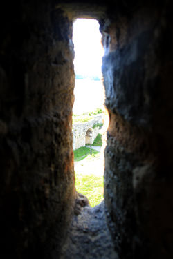 Vidin