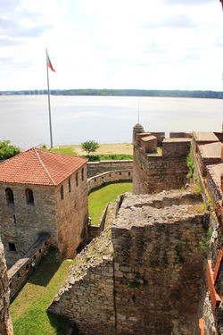Vidin