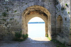 Vidin