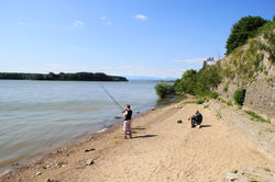 Vidin