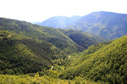 Kosovo
