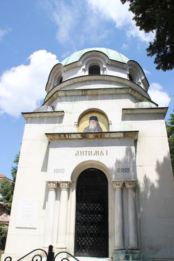 Vidin