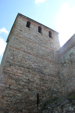 Vidin