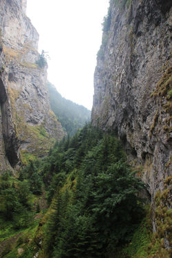 Gorges de Trigrad