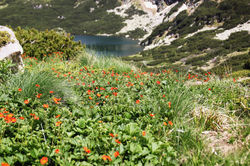 7 lacs de Rila