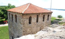 Vidin