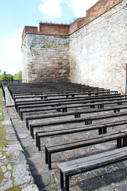 Vidin