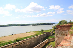 Vidin