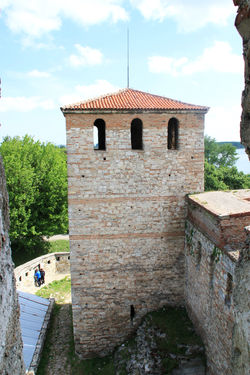 Vidin