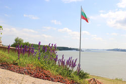 Vidin