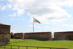 Vidin