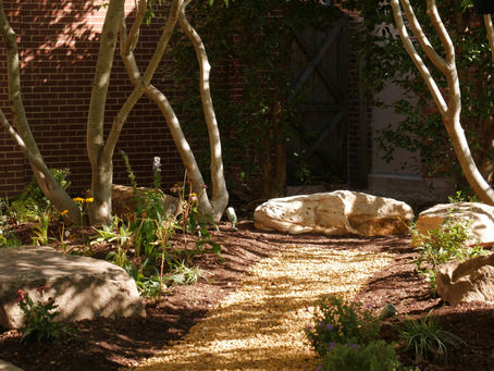 Belmont unveils new Indigenous Garden