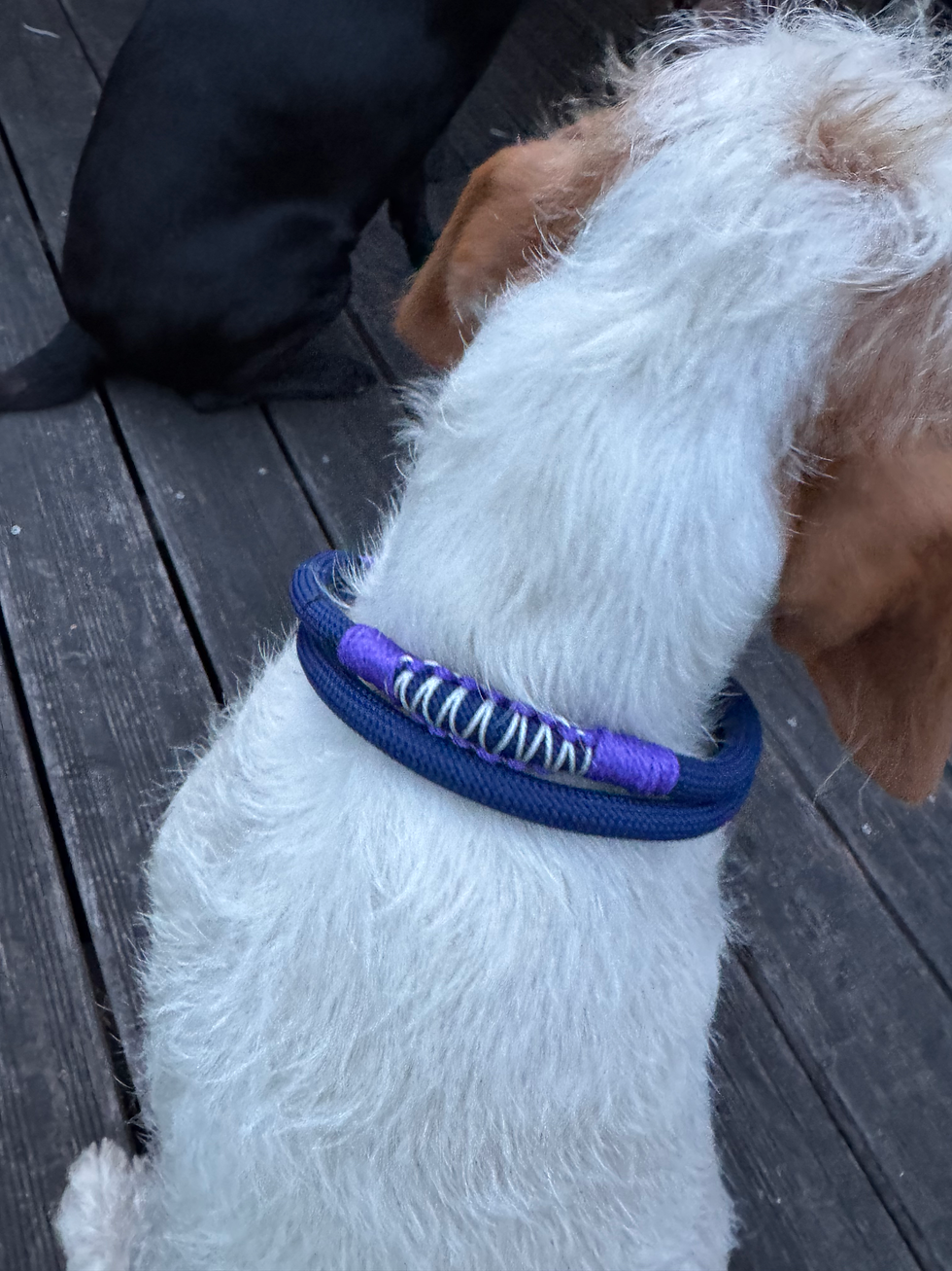 Miniaturbild: Halsband "Peppi"