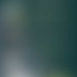 PCC, Community Healing 4 All, & In The Light, Host Mustard Seed Foundation Grant Information Event