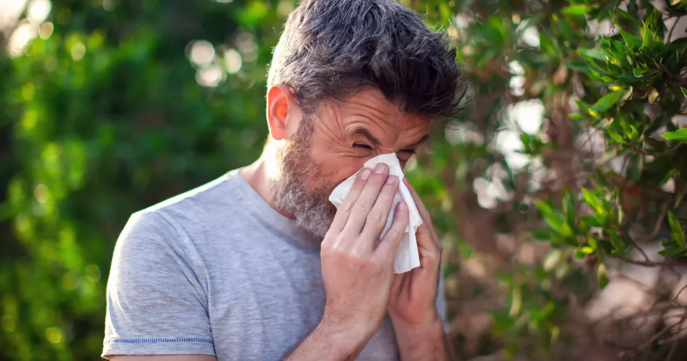 allergie 5.webp