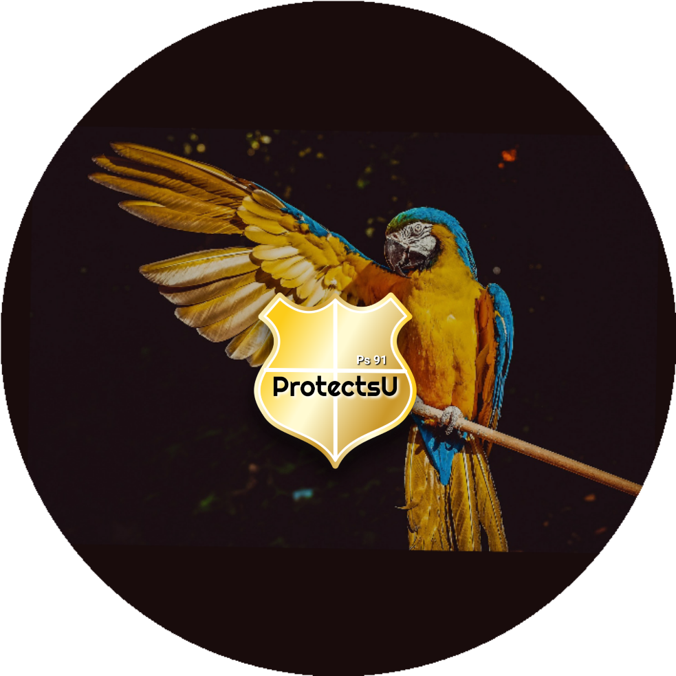 Macaw Bird Creation (Nature) Series