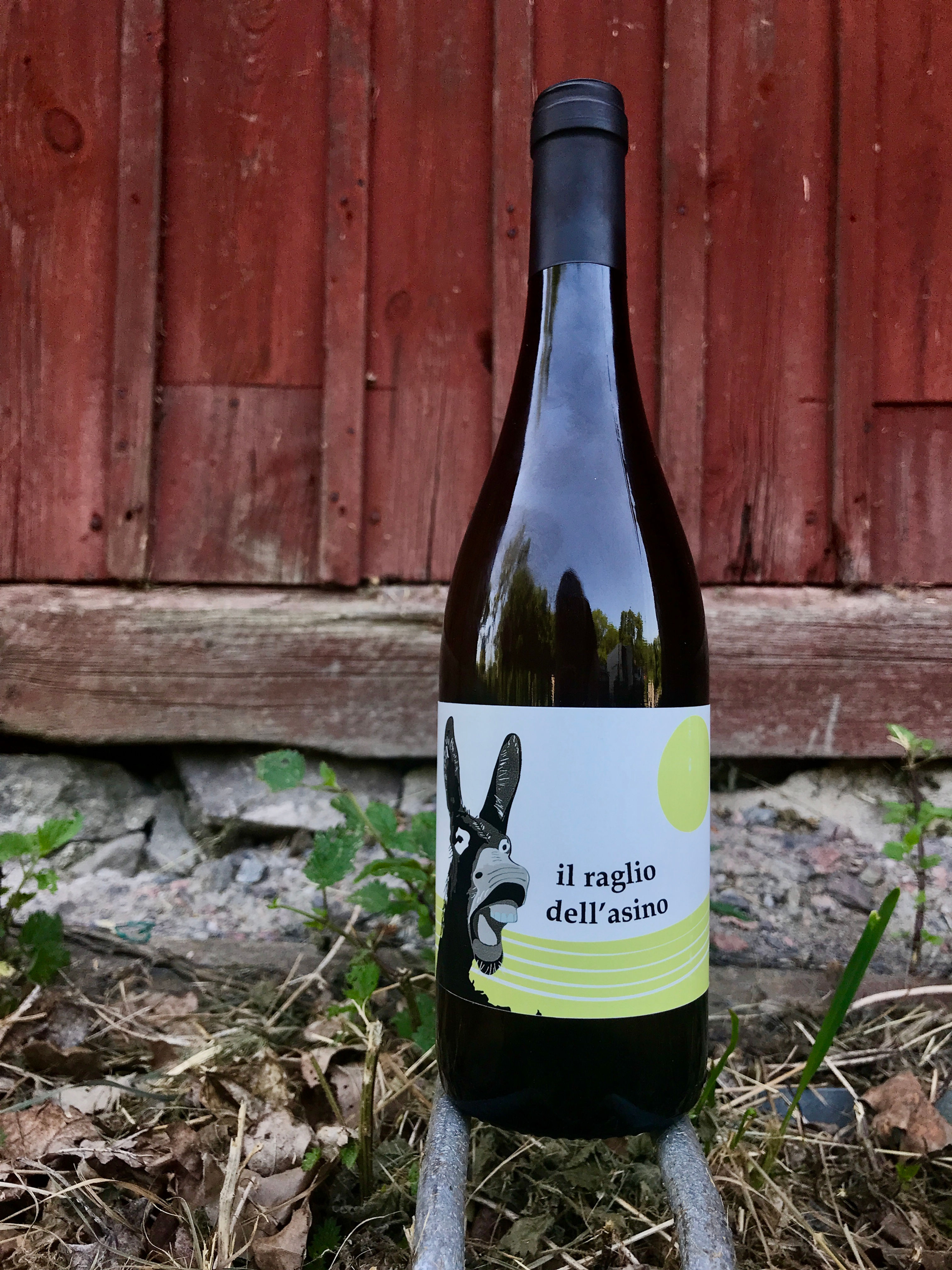 Il Raglio dell'Asino - Acino Naturalwine