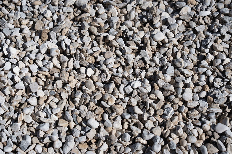 WhatsApp Image 2025-10-25 at 23.36.46 (8).jpeg