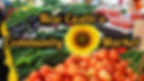 Newcastle Community Market