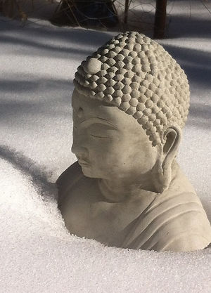 buddhasnow_sq.jpg