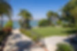 backyard L.jpg