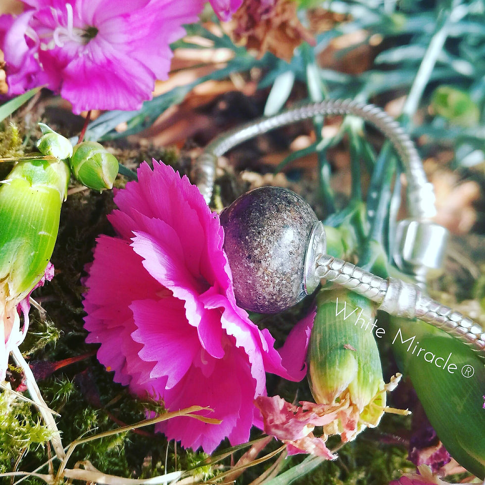 Thumbnail: Classic Charm