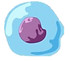 キラーT細胞.png