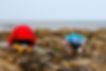 Shared from Lightroom mobile.jpg
