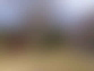 2月1日より、4/17-5/31のご予約を受付けます