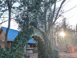 本年度の営業を終了しました