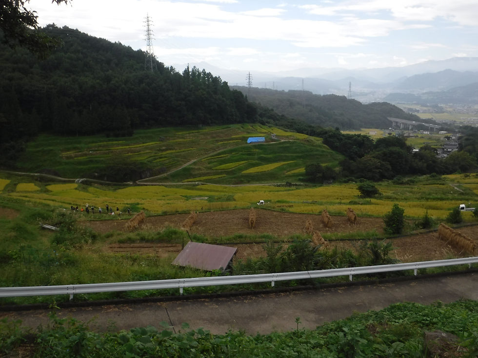 日出ずる里活性化協議会あじさいトマト販売