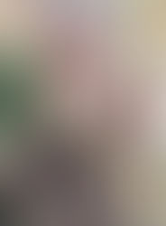 Reflections of Venice