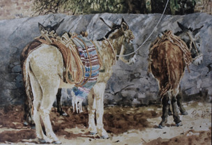 The Donkey and Two Burros