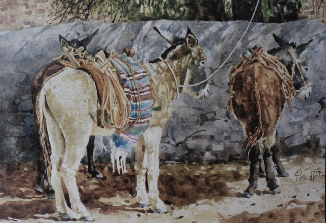 The Donkey and Two Burros