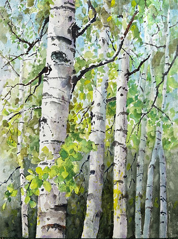 Private Watercolor Classes in Denver or Online