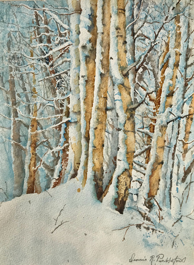 Snow Is Full Of Color