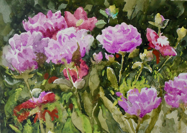 Painting Peonies