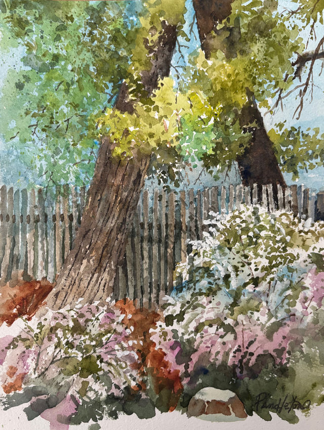 A Sense of Light and Shadow