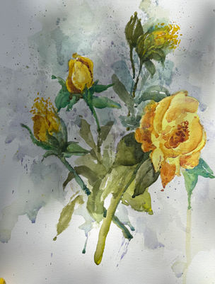 Yellow Muse