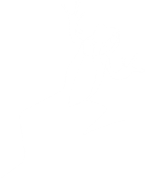 White_frog.png