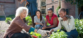 Community Gardening