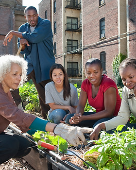 Community Gardening